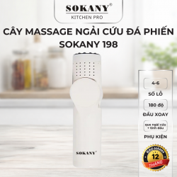 Cây massage ngải cứu đá phiến Sokany 198 dụng cụ giác hơi đá phiến kèm tinh dầu và que ngải cứu